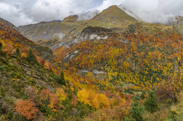 Huesca - valle de Bujaruelo 35.jpg
